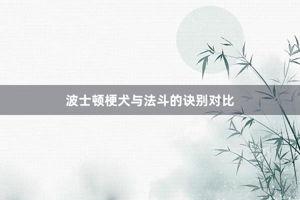 波士顿梗犬与法斗的诀别对比
